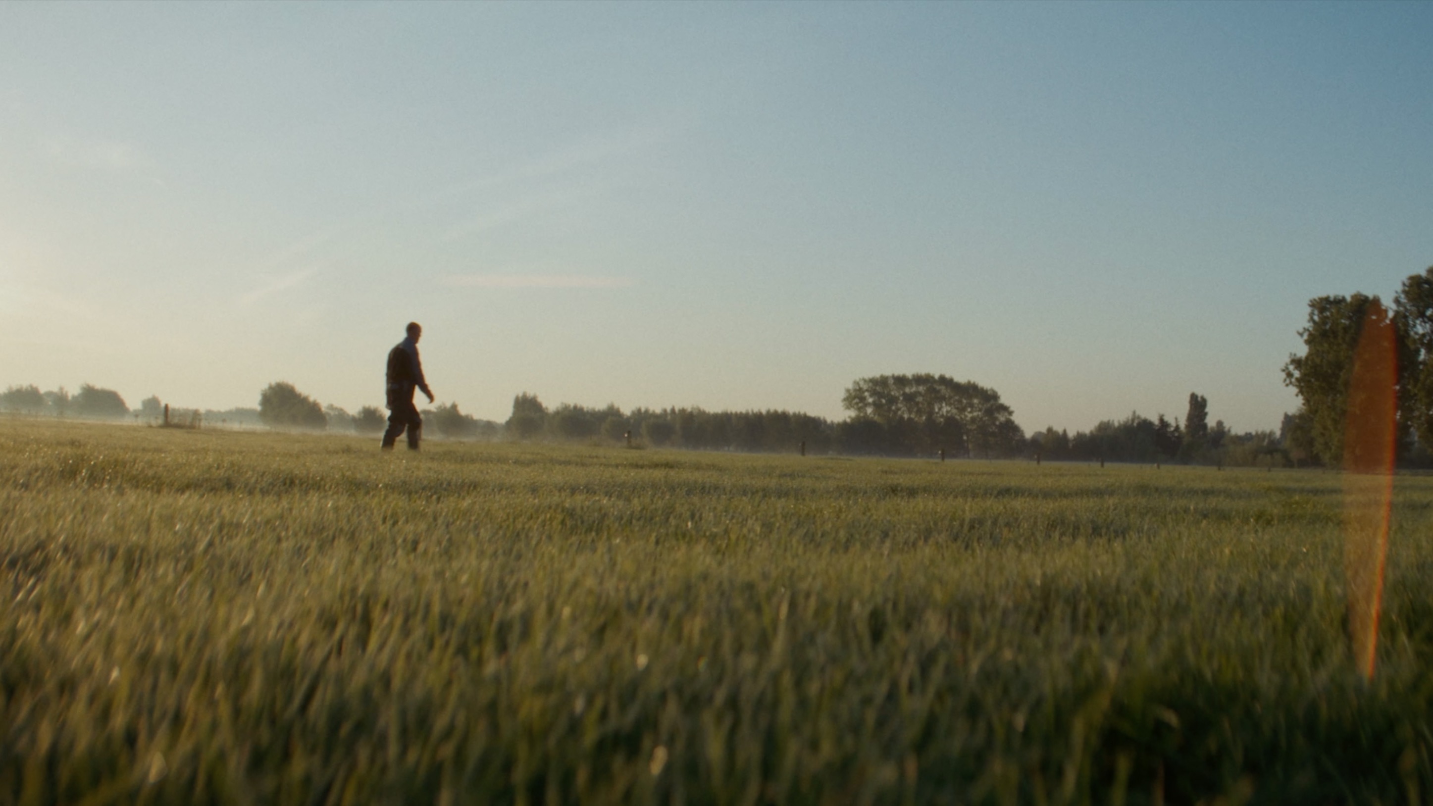 Film &mdash; Firma Buurman